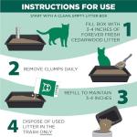 Arm & Hammer Forever Fresh Cedarwood Cat Litter