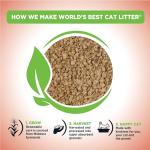 World's Best Unscented Cat Litter for Multiple Cats