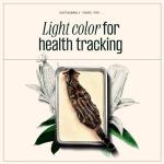 Sustainably Yours Large-Grain Cat Litter 10 lbs