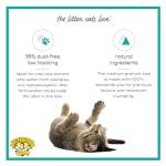 Dr. Elsey's R&R Clumping Cat Litter 18 lb