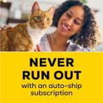 Purina Tidy Cats 24/7 Multi-Cat Litter 20 lb