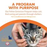 ARM & HAMMER Naturals Multi-Cat Clumping Litter