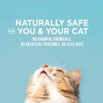 World's Best Cat Litter - Maximum Odor Control