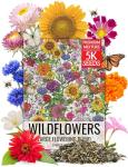 Large Blooms Flower Seeds for Hummingbirds & Butterflies
