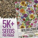 Large Blooms Flower Seeds for Hummingbirds & Butterflies