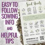 Large Blooms Flower Seeds for Hummingbirds & Butterflies