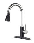 FORIOUS High Arc Stainless Steel Kitchen Faucet
