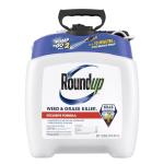 Roundup Weed and Grass Killer with Pump Sprayer