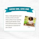 Heirloom Organic Non-GMO Seeds Variety Pack, 30ct