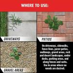 Ortho GroundClear Year-Round Weed Killer Spray