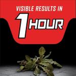 Ortho GroundClear Year-Round Weed Killer Spray