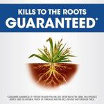 Roundup Weed and Grass Killer with Pump Sprayer