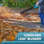 Cordless Electric Leaf Blower with 2 Batteries
