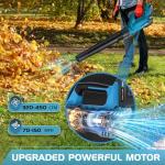 Cordless Electric Leaf Blower with 2 Batteries