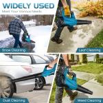 Cordless Electric Leaf Blower with 2 Batteries