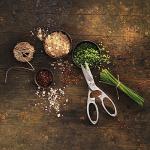 ZWILLING TWIN Select Stainless Steel Kitchen Scissors