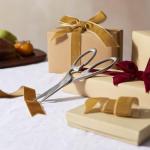 ZWILLING TWIN Select Stainless Steel Kitchen Scissors