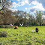 8-Pack 3D Dragonfly Clips for Garden Decor