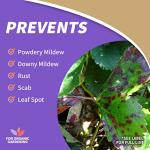 Bonide Neem Oil Spray - 32 oz Multi-Use