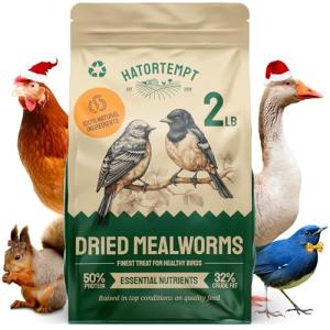 High Protein Dried Mealworms for Poultry and Birds