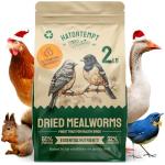 High Protein Dried Mealworms for Poultry and Birds