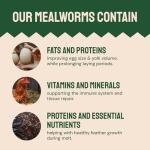 High Protein Dried Mealworms for Poultry and Birds