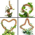25" Bendable Moss Poles for Climbing Plants