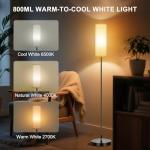 Dimmable Modern Corner Floor Lamp with Remote