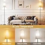 SUNMORY 61'' Floor Lamp with 3 Color Temperatures