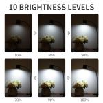 Dott Arts USB Clip-On Desk Lamp with 3 Colors