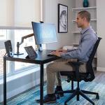 Ergotron LX Single Monitor Desk Mount Arm