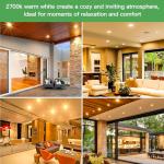 Omnikerlight 80W Dimmable PAR38 Flood Light Bulbs