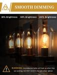 Vintage Antique Edison Light Bulbs, Warm White (4 Pack)