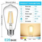 Ascher 4XE26 ST58 Vintage LED Light Bulb