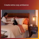 Philips Dimmable Vintage LED A19 Light Bulb