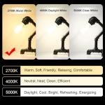 Ascher 4XE26 ST58 Vintage LED Light Bulb