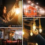 Vintage Edison Style Dimmable LED Bulbs - 4 Pack