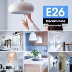 60W Equivalent E26 LED Filament Light Bulbs