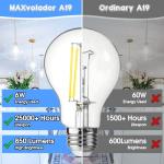 60W Equivalent E26 LED Filament Light Bulbs