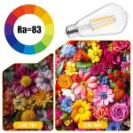 Brightown 6 Pack 6W LED Edison Light Bulbs