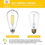 Vintage Edison Style Dimmable LED Bulbs - 4 Pack