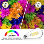 Vintage Edison Style Dimmable LED Bulbs - 4 Pack