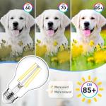 60W Equivalent E26 LED Filament Light Bulbs