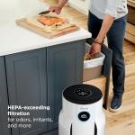 Shark NeverChange HEPA Air Purifier for Home Use