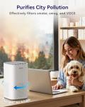 Tailulu Home Air Purifier for Pet Allergies