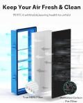 Holmes Air Purifier Replacement HEPA and Carbon Filters