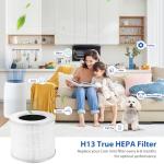 2 Pack H13 True HEPA Filters for LEVOIT Air Purifier