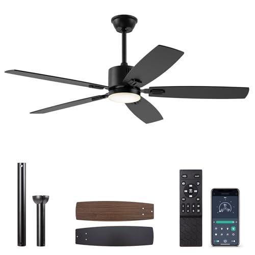 Smart Ceiling Fans