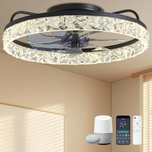 20'' Smart Ceiling Fan with Lights and Remote
