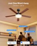 Lumary 52" Smart Ceiling Fan with RGB Lights
